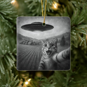 Cat Selfie mit Alien UFO Funny Cat Geschenke Keramikornament