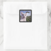 Cat Selfie mit Alien Ufo Quadratischer Aufkleber (Tasche)