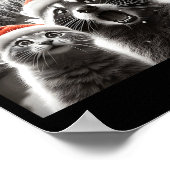 Cat Selfie Racoon Funny Santa Christmas Dog  Poster (Ecke)