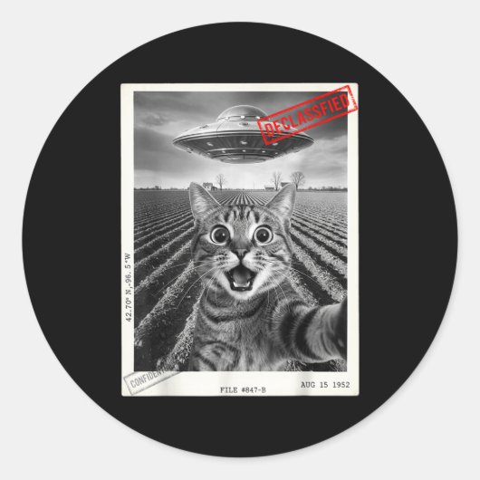 Cat Selfie Ufo Alien Funny Surprised Cat Meme Men Runder Aufkleber (Vorderseite)