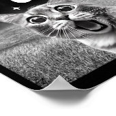 Cat Selfie With 67 Meme Funny Cats Graphic For Men Poster (Ecke)