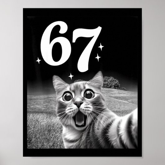 Cat Selfie With 67 Meme Funny Cats Graphic For Men Poster (Vorne)