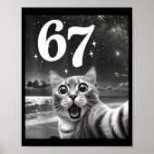 Cat Selfie With 67 Meme Funny Cats Graphic For Men Poster (Vorne)