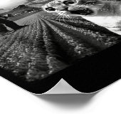 Cat Selfie With Alien Ufo Funny Cat Alien Bigfoot Poster (Ecke)