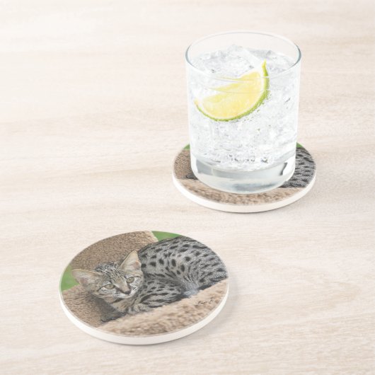 Cat Series - Serval Savannah Cat - Untersetzer (Seite)
