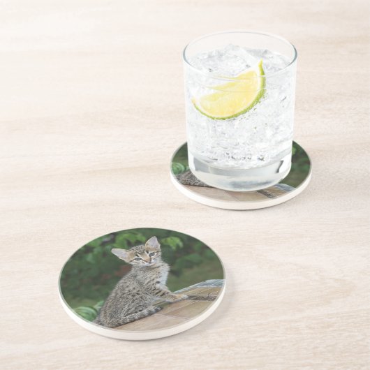 Cat Series - Serval Savannah Cat - Untersetzer (Seite)