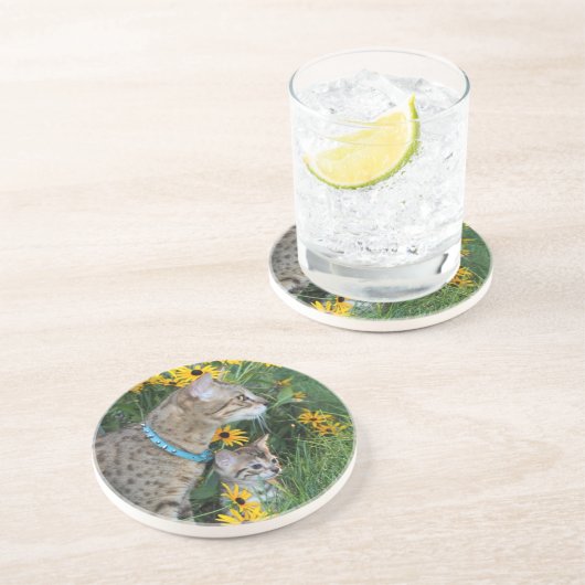 Cat Series - Serval Savannah Cat - Untersetzer (Seite)