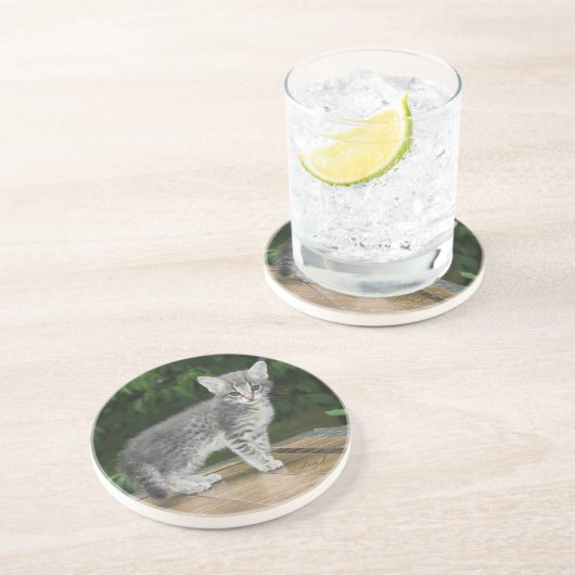 Cat Series - Serval Savannah Cat - Untersetzer (Seite)