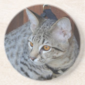 Cat Series - Serval Savannah Cat - Untersetzer (Vorne)