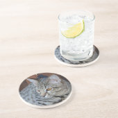 Cat Series - Serval Savannah Cat - Untersetzer (Seite)