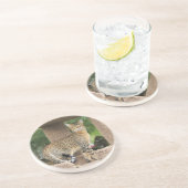 Cat Series - Serval Savannah Cat - Untersetzer (Seite)