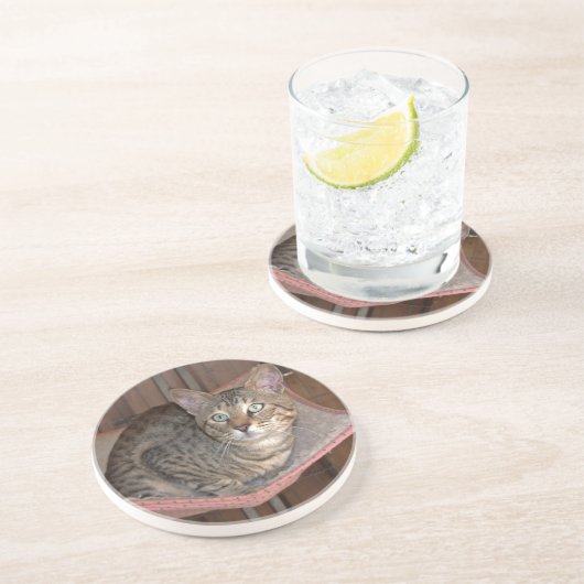 Cat Series - Serval Savannah Cat - Untersetzer (Seite)