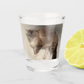 Cat Shot Glass Schnapsglas (Vorderseite)