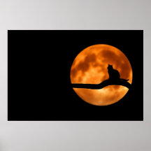 Cat Silhouette Moonlight Poster