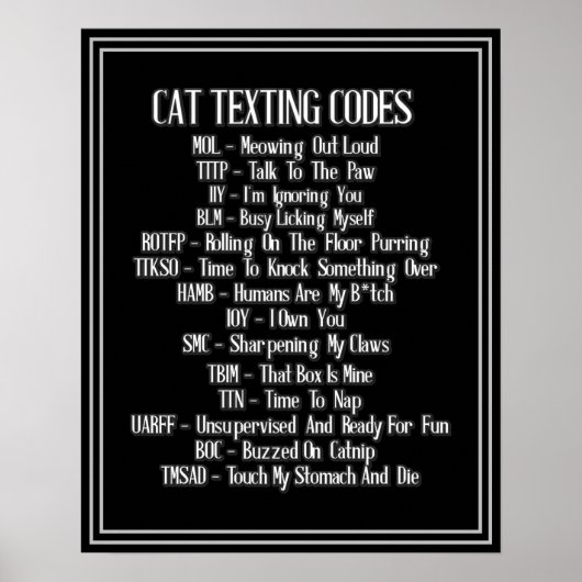 Cat Sims Codes Spaß Poster (Vorne)