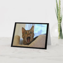 Cat Singing Happy Birthday Karte