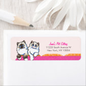 Cat Sitter Business Ragdoll Couch rosa (Insitu)