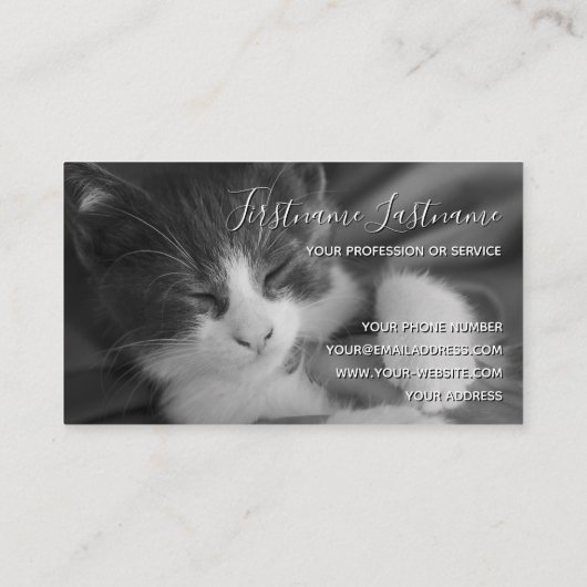 Cat Sitters lustige Cat Care Haustier Pflegedienst Visitenkarte (Rückseite)