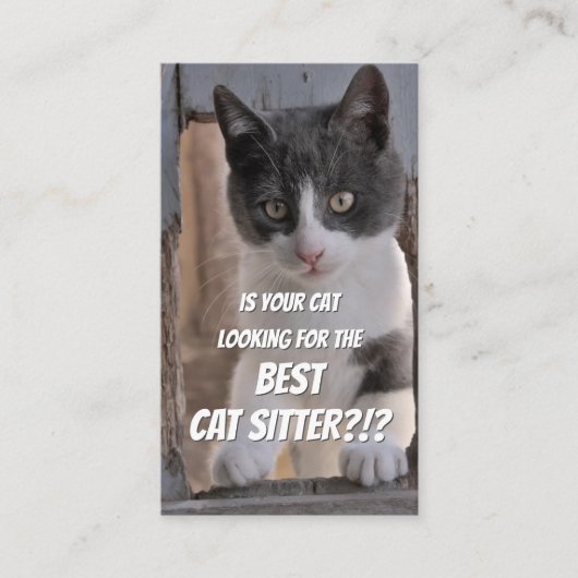 Cat Sitters lustige Cat Care Haustier Pflegedienst Visitenkarte (Vorderseite)