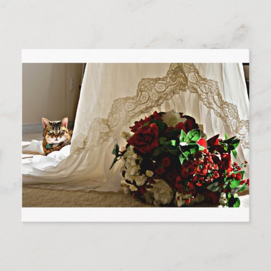 Cat Sitting Behind Wedding Dress Postkarten (Vorderseite)