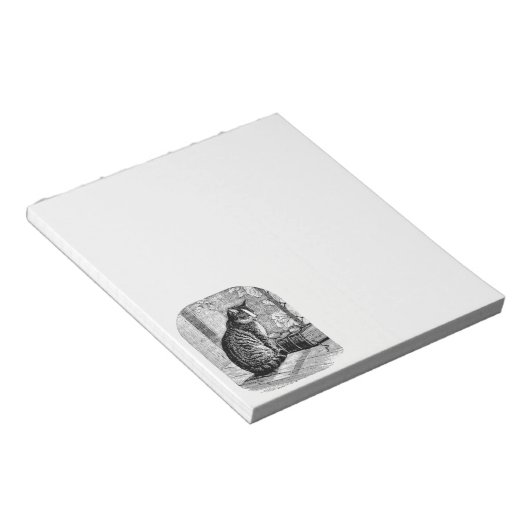 Cat Sitting by Window with Book Notizblock (angewinkelt)