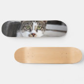 Cat Skateboard (Horizontal)
