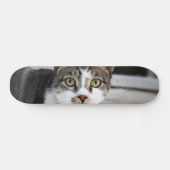 Cat Skateboard (Horizontal)