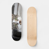Cat Skateboard (Vorderseite)
