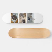 Cat Skateboard (Horizontal)
