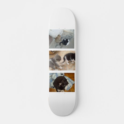 Cat Skateboard (Vorne)