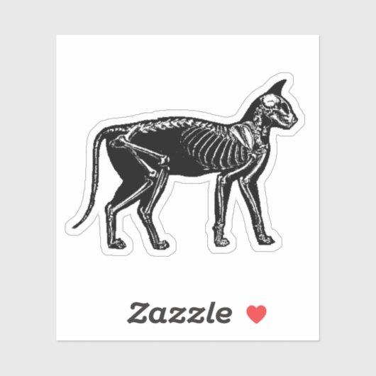 Cat Skeleton Aufkleber (Blatt)