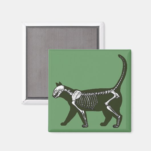 Cat Skeleton Magnet (Vorderseite/Rückseite)