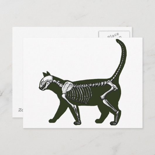 Cat Skeleton Postkarte (Vorne/Hinten)