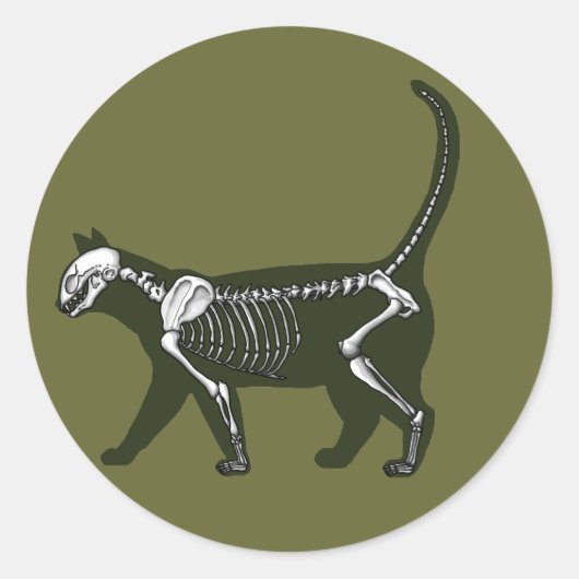 Cat Skeleton Runder Aufkleber (Vorderseite)