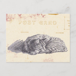 Cat Sketch Gold und Rosa Vintage Postkarte