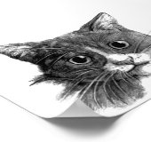 Cat Sketch Poster (Ecke)