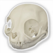Cat Skull Aufkleber (Vorderseite)