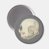 Cat Skull Magnet (Vorderseite/Rückseite)