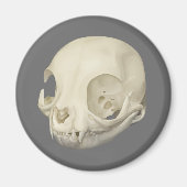 Cat Skull Magnet (Vorne)