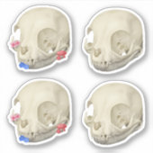 Cat Skull Sticker Set (Vorderseite)