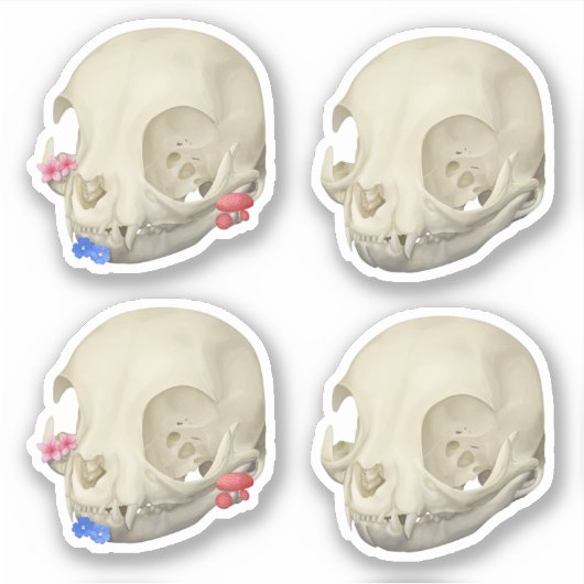 Cat Skull Sticker Set (Vorderseite)