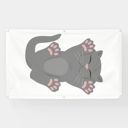 Cat Sleeping Banner (Horizontal)