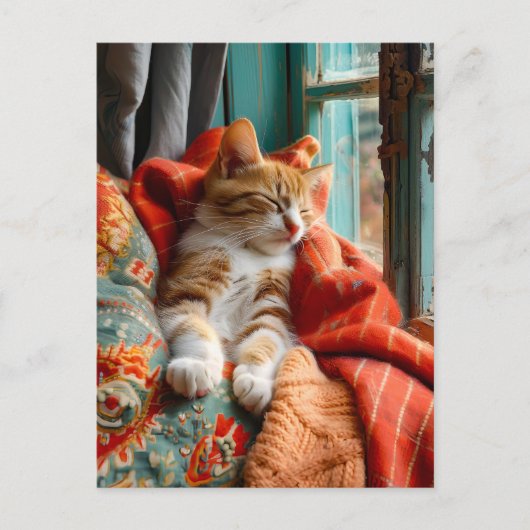 Cat Sleeping by Window with Pillow and Blanket Postkarte (Vorderseite)