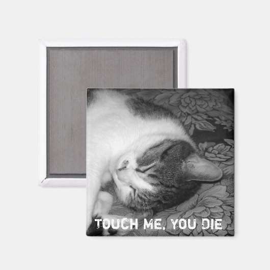 Cat Sleeping Crabby Magnet (Vorderseite/Rückseite)