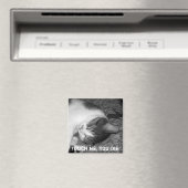 Cat Sleeping Crabby Magnet (In Situ (Geschirrspüler))