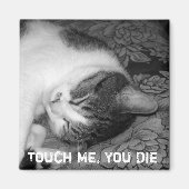 Cat Sleeping Crabby Magnet (Vorne)