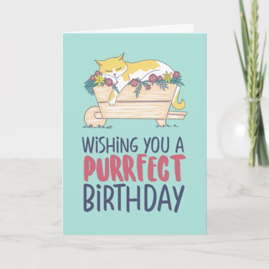 Cat Sleeping Funny Cat Lover Purfect Geburtstag Karte (Vorderseite)