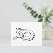 Cat Sleeping Illustration Pen Drawing Art Postkarte (Stehend Vorderseite)