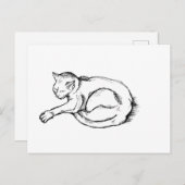 Cat Sleeping Illustration Pen Drawing Art Postkarte (Vorne/Hinten)
