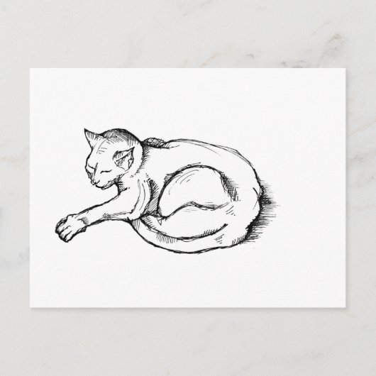 Cat Sleeping Illustration Pen Drawing Art Postkarte (Vorderseite)
